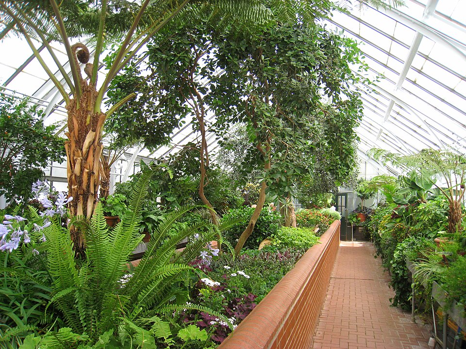 Planting beds beneath the glazed roof of a glasshouse at Biltmore