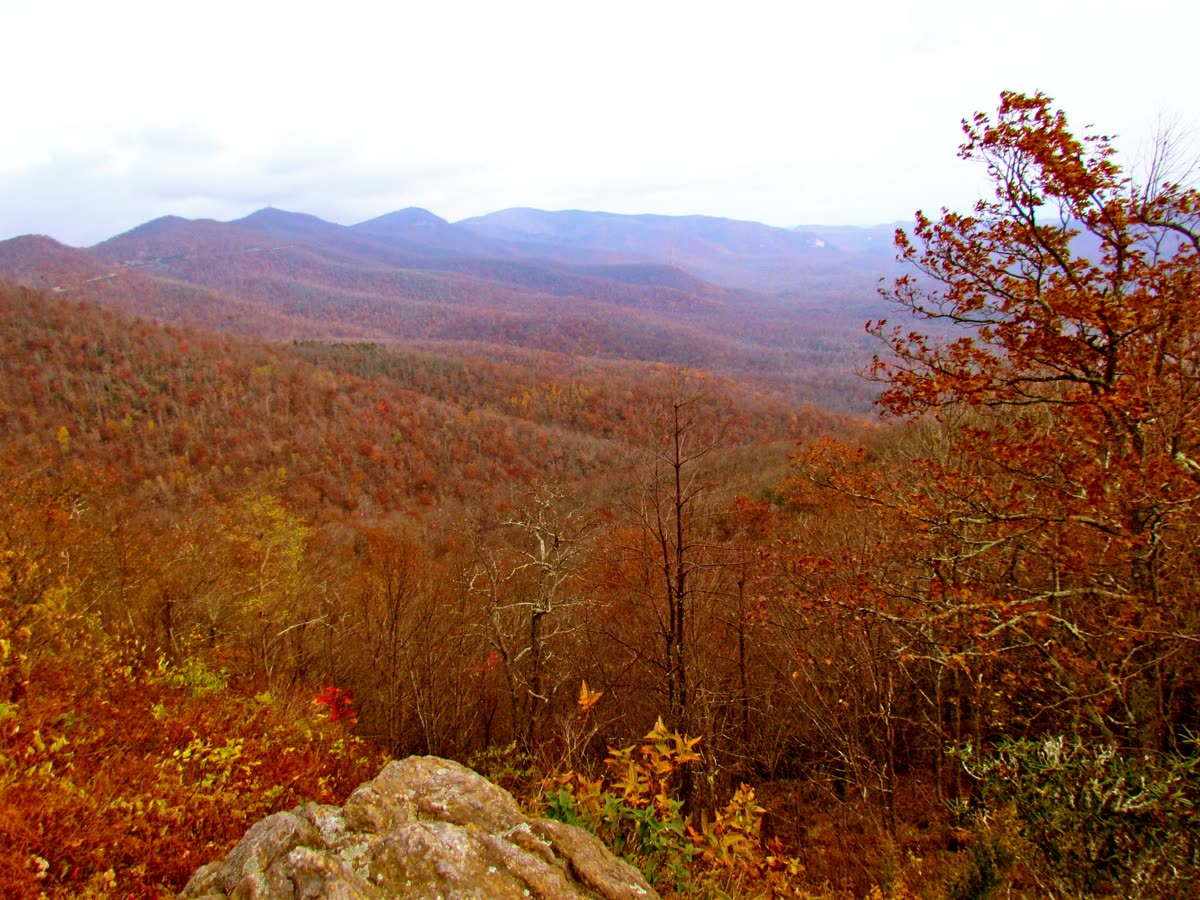 Forested ridges of Pisgah National Forest in western North Carolina