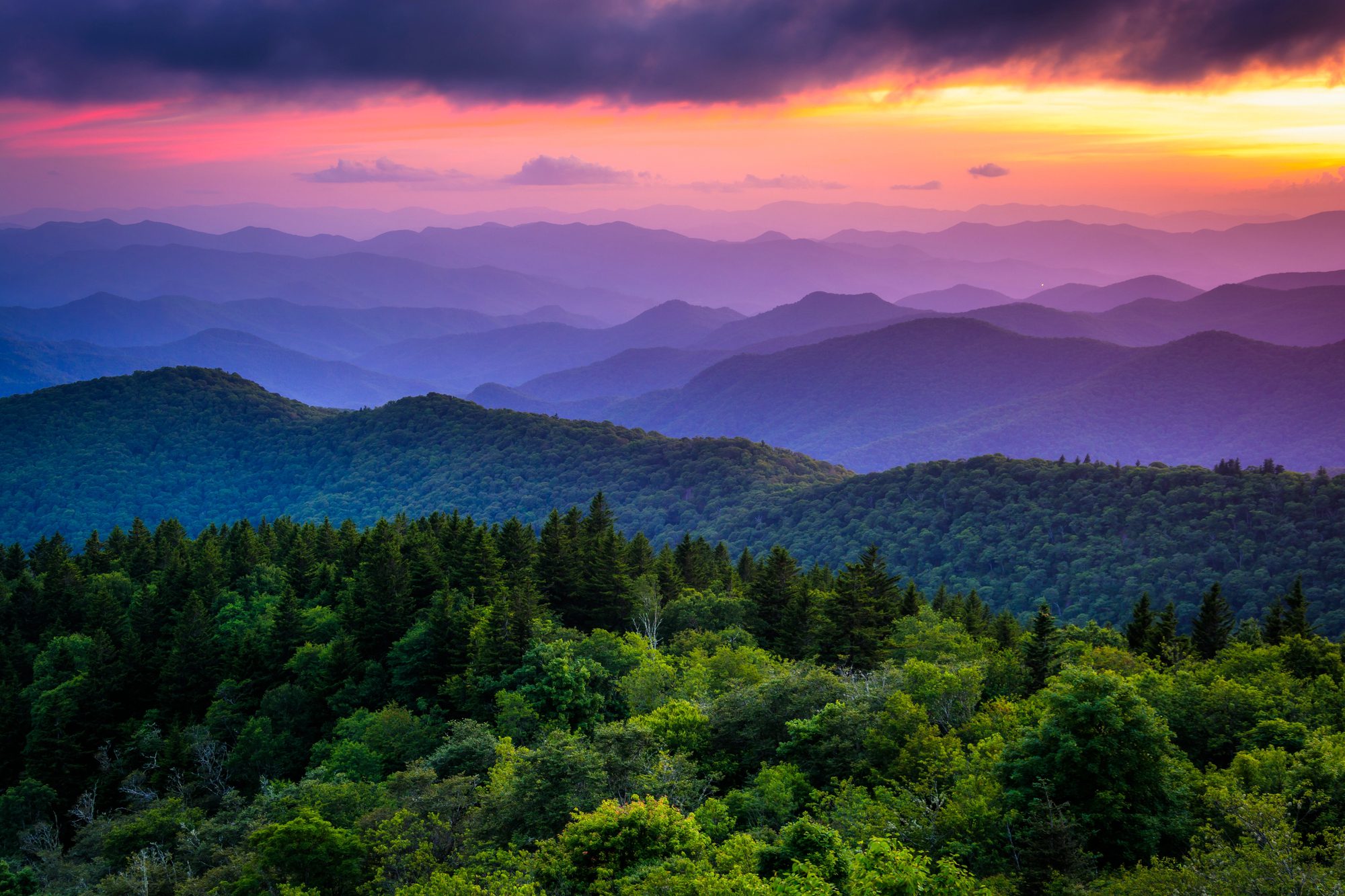 Layered blue ridgelines at sunset above a green conifer foreground