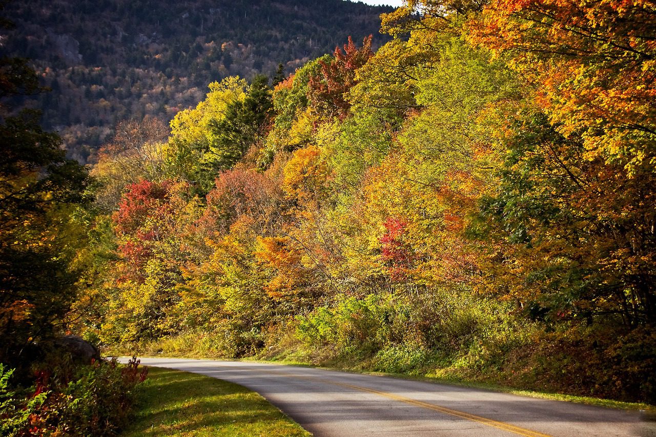 Autumn foliage on a hillside above a curving parkway road