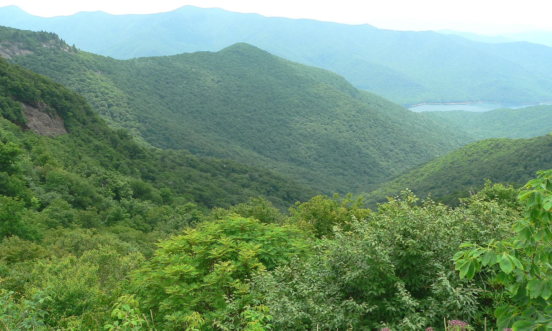 Forested ridges folding into blue haze from the Craggy Gardens stretch of the Blue Ridge Parkway
