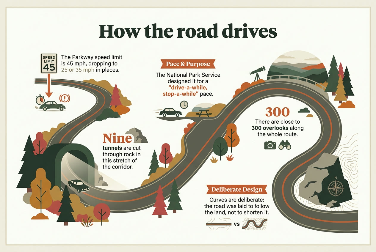 Infographic, How the road drives: the Parkway speed limit is 45 mph, dropping to 25 or 35 mph in places; nine tunnels are cut through rock in this stretch; the National Park Service designed the road for a drive-a-while, stop-a-while pace; there are close to 300 overlooks along the whole route; the curves are deliberate, laid to follow the land rather than to shorten the distance.