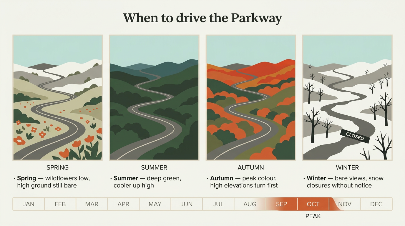 Four panels showing the same stretch of Parkway ridge and road through spring wildflowers, deep summer green, peak autumn orange, and bare snow-marked winter, above a January-to-December band with the autumn colour window running from late September into early November and peaking in late October.