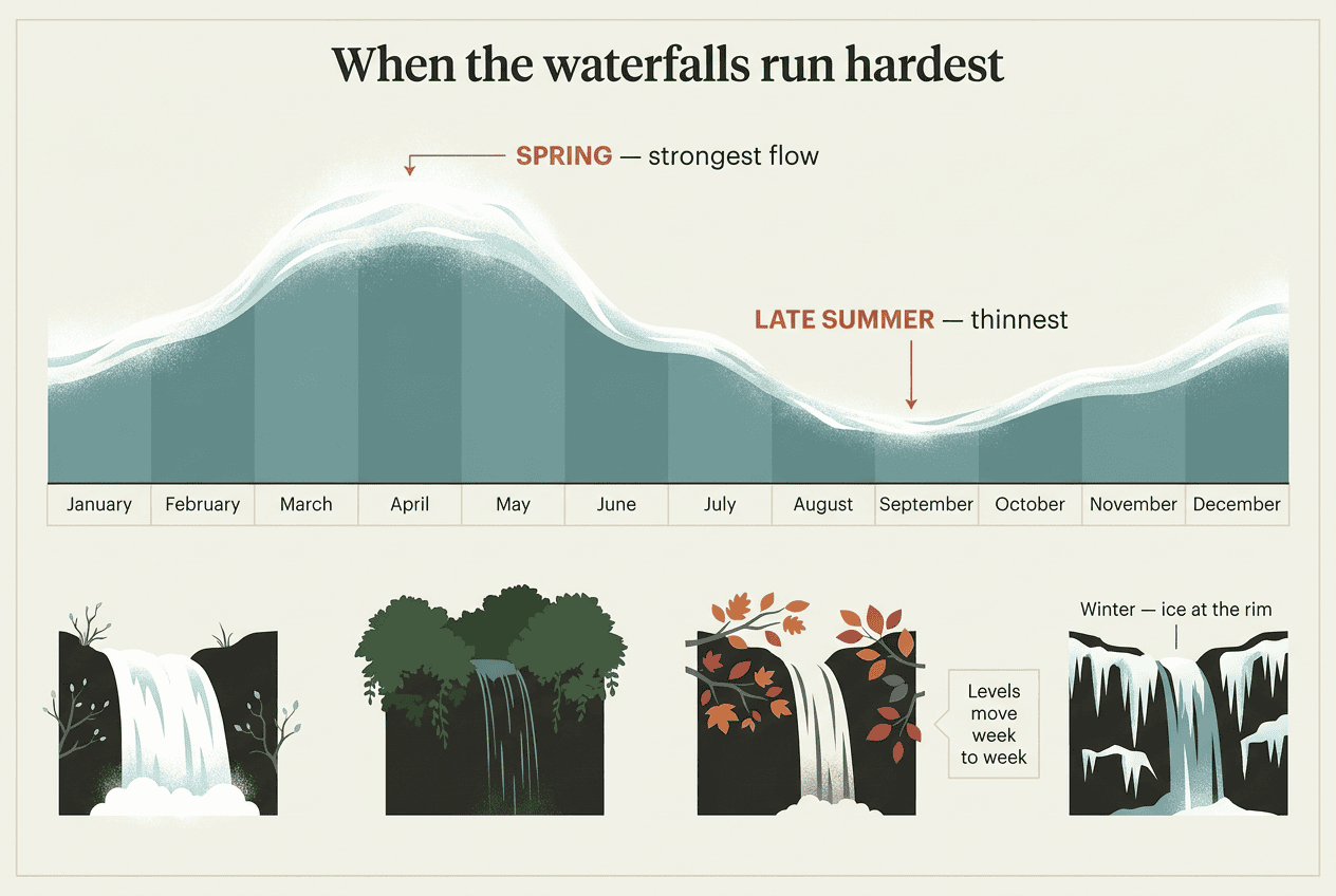 Chart titled When the waterfalls run hardest: a ribbon of white water forms a curve across a January-to-December band, cresting broadly across spring and falling to its lowest point in late summer, with four seasonal waterfall vignettes beneath showing heavy spring water, dense summer canopy, autumn foliage and winter icicles.