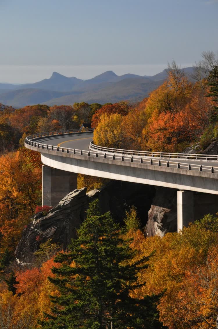 A road viaduct curving along a mountainside through orange and gold autumn forest