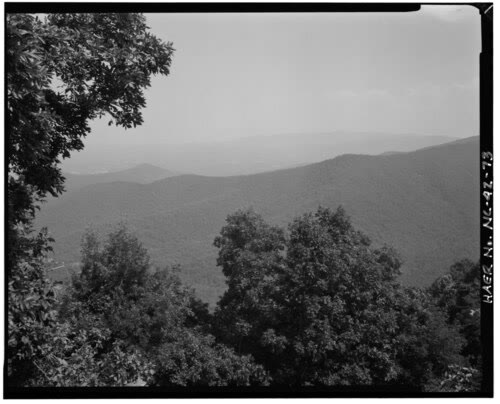 Rocky Knob, VA. White rosebay rhododendron in bloom crowding a narrow ridge trail; the deep V of Rock Castle Gorge.