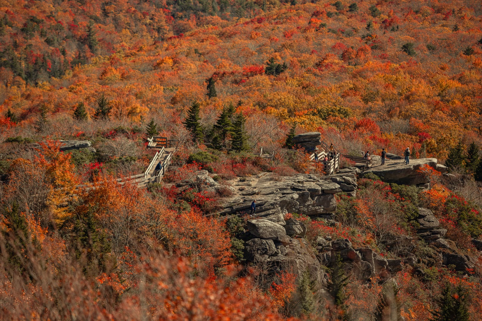 Rough Ridge, NC. A wooden boardwalk running across low windswept heath with no trees blocking the view, the viaduct a thin curve far below.
