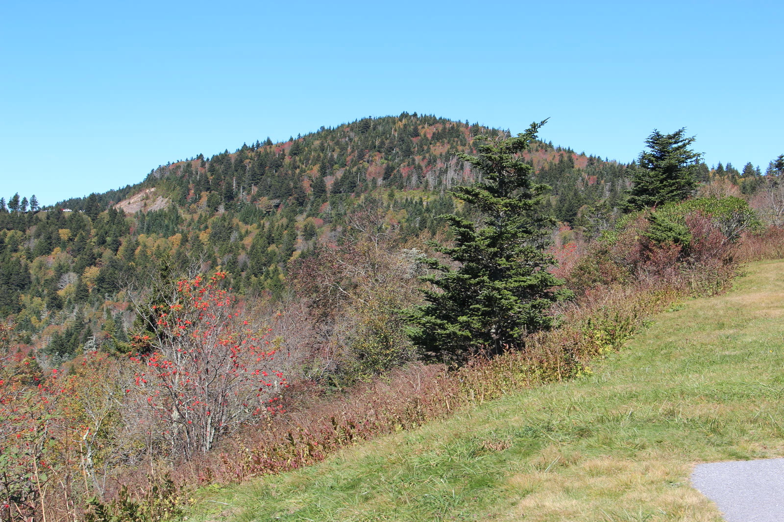 Cowee Mountain Overlook, NC. Receding parallel ridgelines fading from dark green to pale blue-grey in five or six distinct layers.
