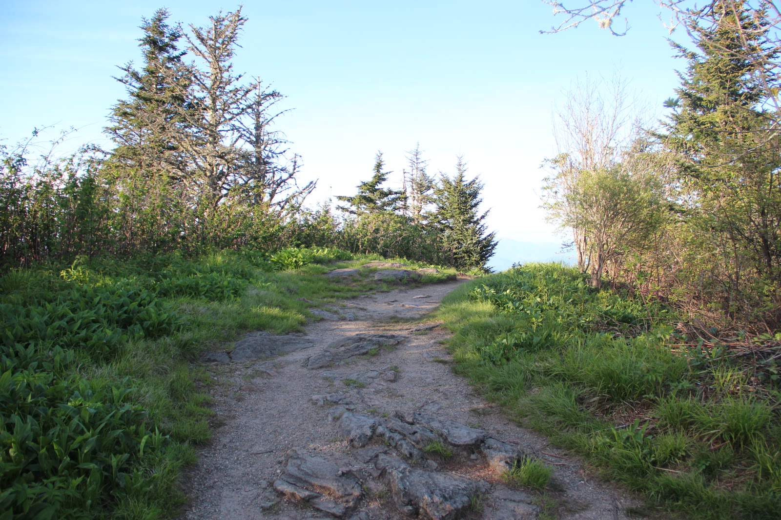 Waterrock Knob, NC. Ridgelines in every direction around a paved overlook with a low stone wall, at sunrise or sunset.