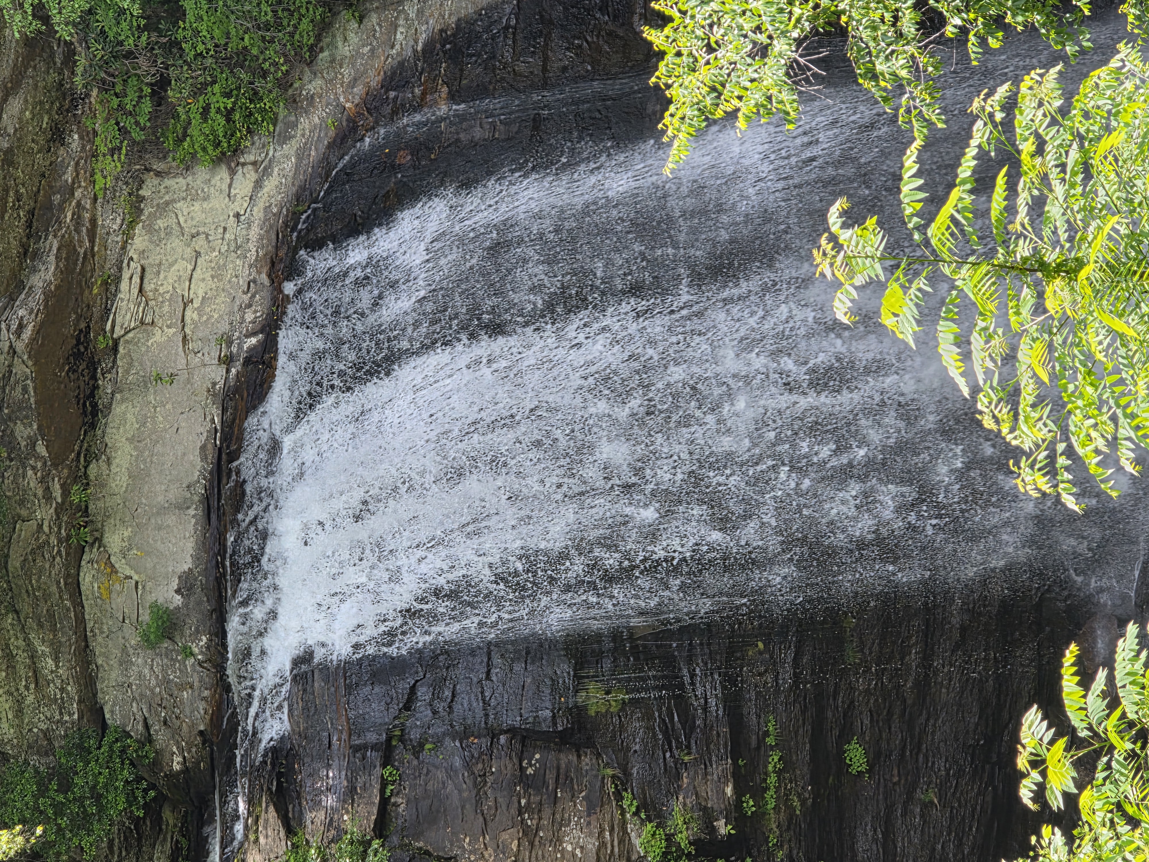 A wide sheet of water over dark rock in summer, the ledge overhanging above it.