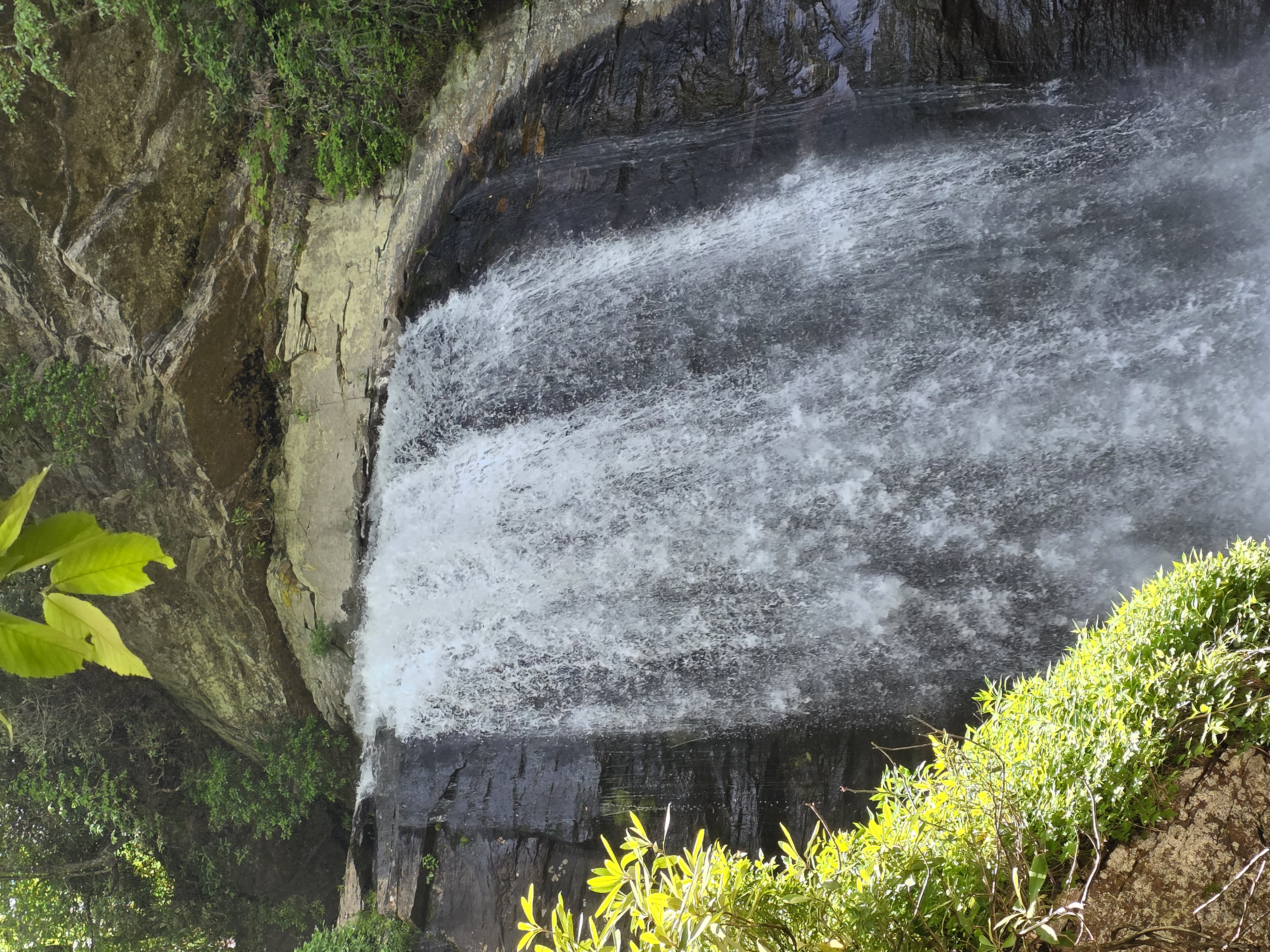 A broad curtain of water falling over a dark rock face, seen close, summer foliage around it