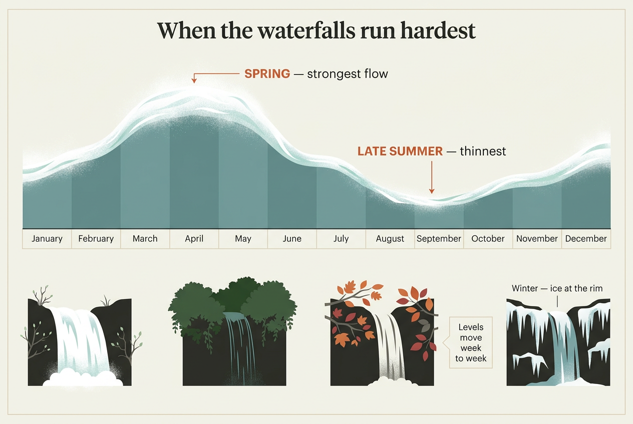 Chart titled When the waterfalls run hardest: a ribbon of white water forms a curve across a January-to-December band, cresting broadly across spring and falling to its lowest point in late summer, with four seasonal waterfall vignettes beneath showing heavy spring water, dense summer canopy, autumn foliage and winter icicles.