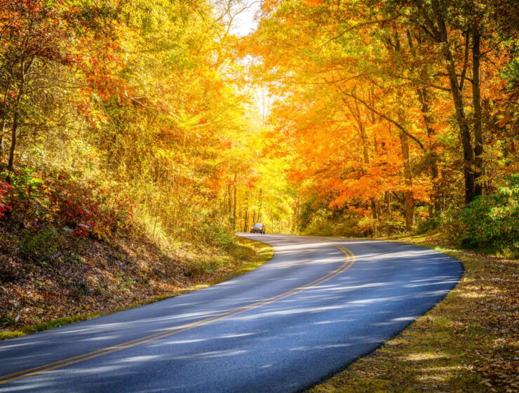 Blue Ridge Parkway winding through the woods in fall near Asheville, North Carolina