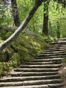 Stairs Leading To Old Vanderbilt Lodge in Asheville