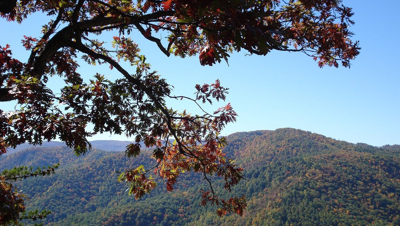 Blue Ridge Parkway Scenic Overlook