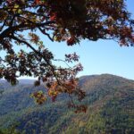 Blue Ridge Parkway Scenic Overlook