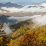 Blue Ridge Parkway winding through the woods in fall near Asheville, North Carolina