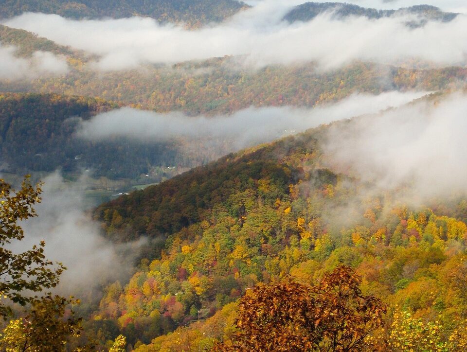 Blue Ridge Parkway winding through the woods in fall near Asheville, North Carolina