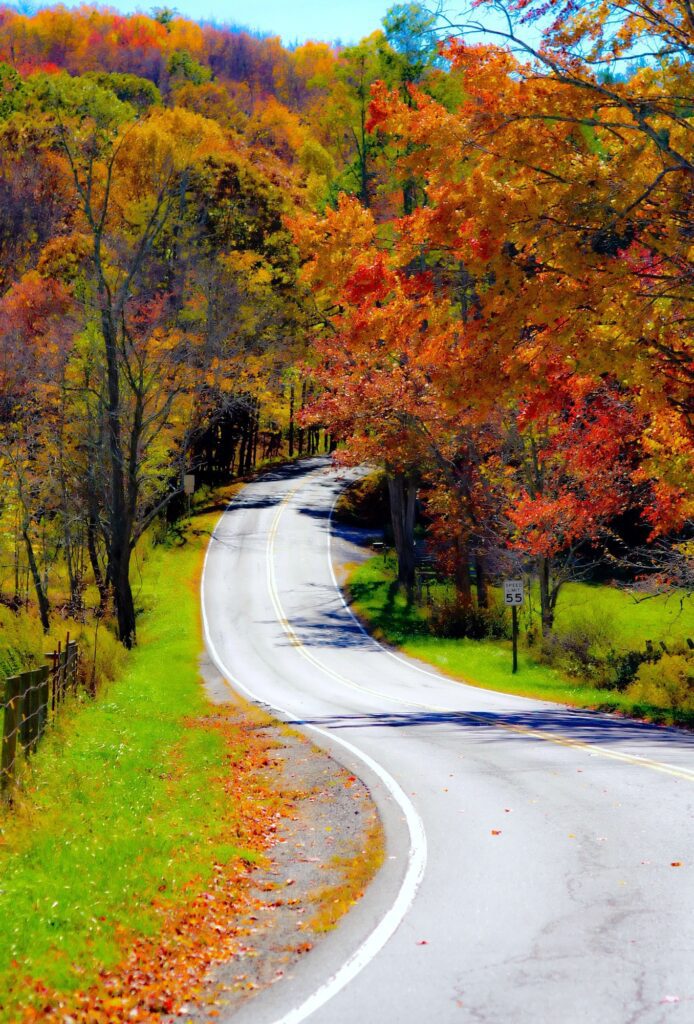 Off-Road Backroad in and around Asheville North Carolina