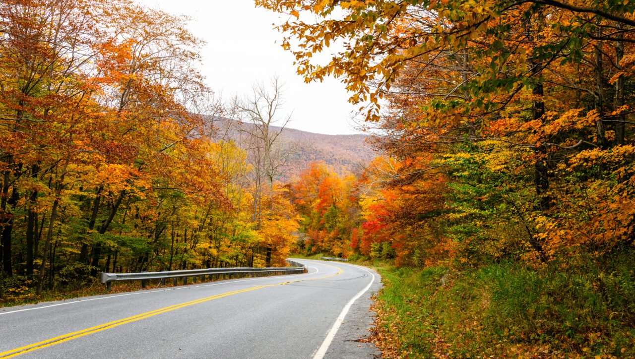 Off-Road Backroad in and around Asheville North Carolina