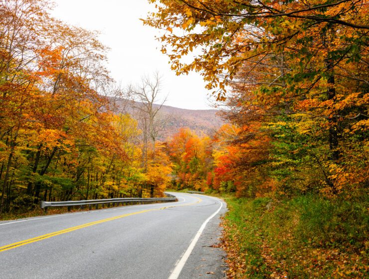 Off-Road Backroad in and around Asheville North Carolina