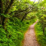 Off-Road Backroad in and around Asheville North Carolina