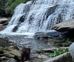 Waterfall near Asheville NC