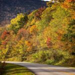 Off-Road Backroad in and around Asheville North Carolina