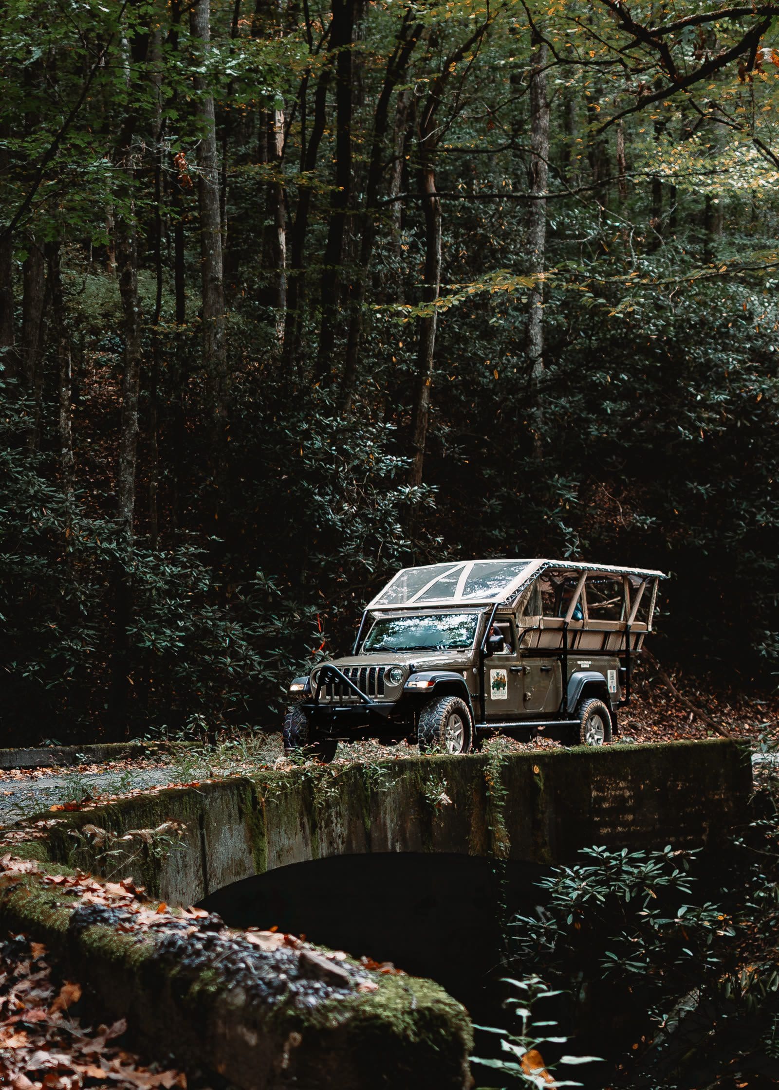 Open-top safari-style Jeep on a forest road in Pisgah National Forest, used for smaller Asheville group tours